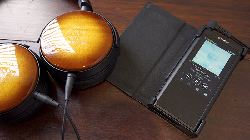 wp900 headphones